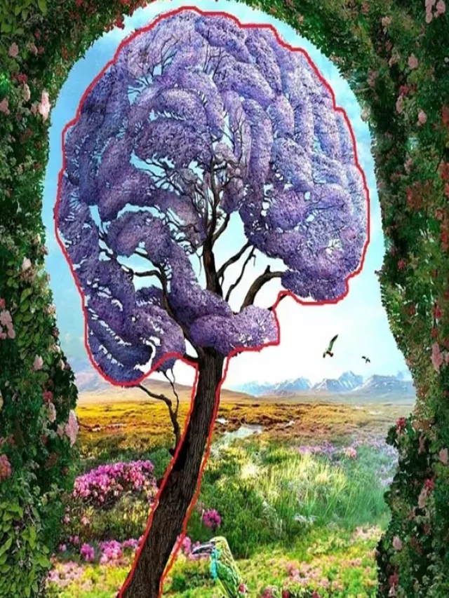 Hindi optical illusion, hidden optical illusion personality test