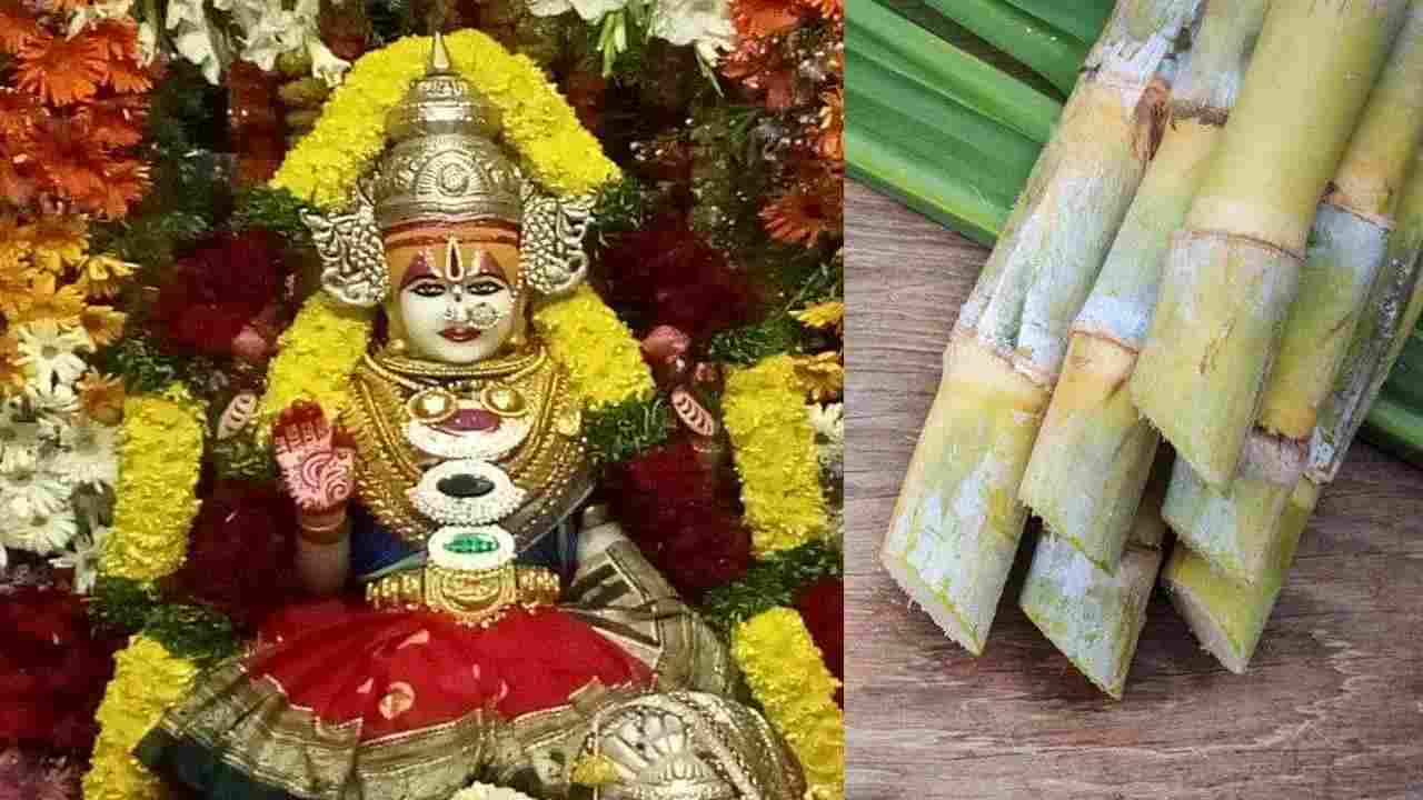 diwali-2024-why-does-lakshmi-maa-love-sugarcane