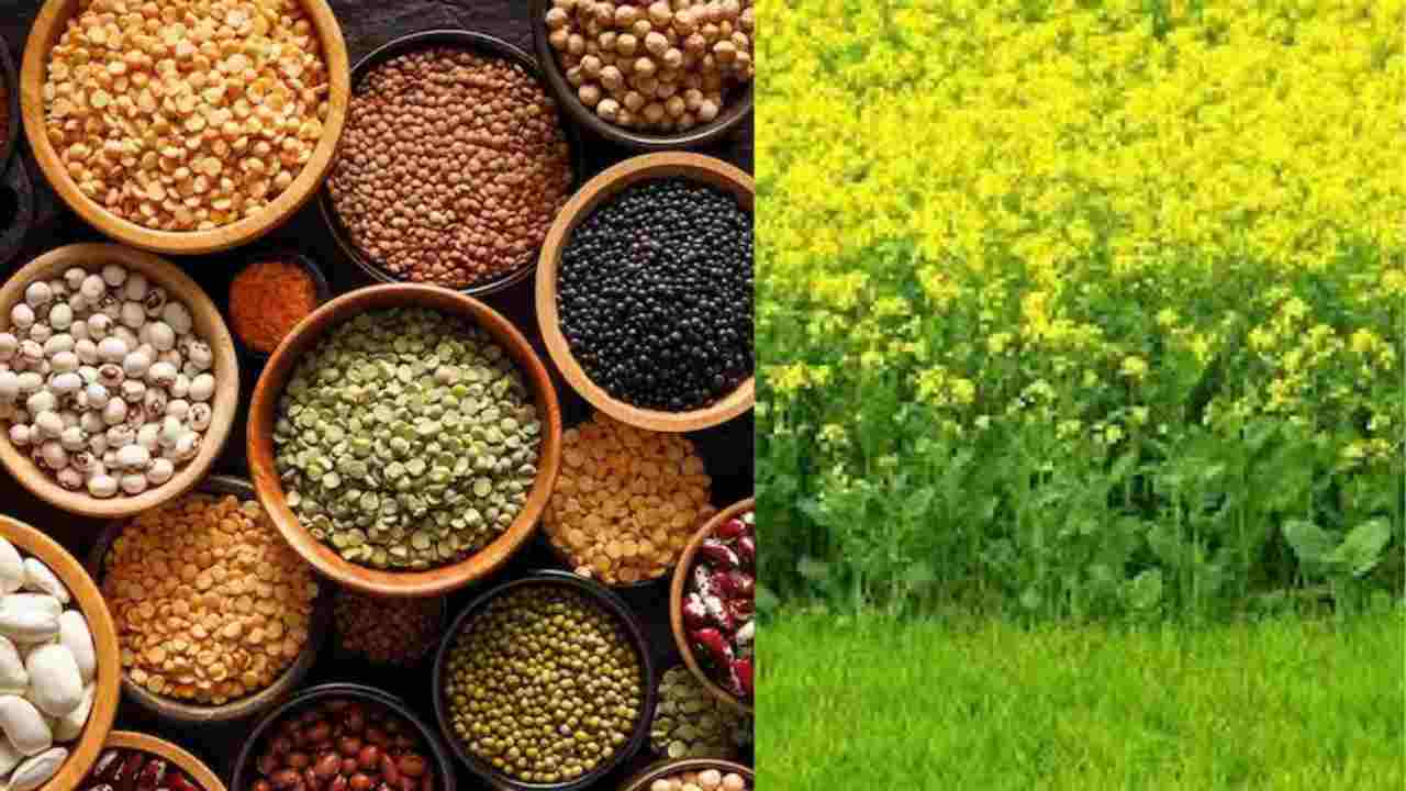 Good news for farmers in the festive season, MSP increased on these crops