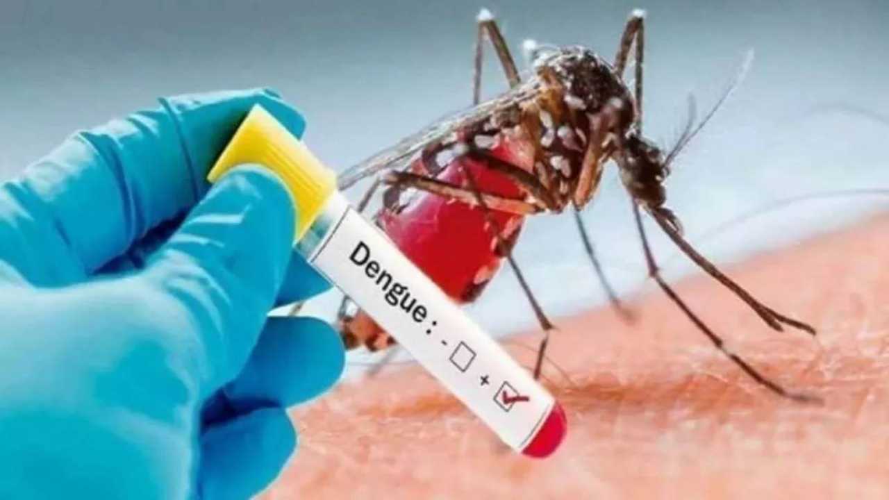 472 cases of dengue in last one week in Delhi, 3 deaths