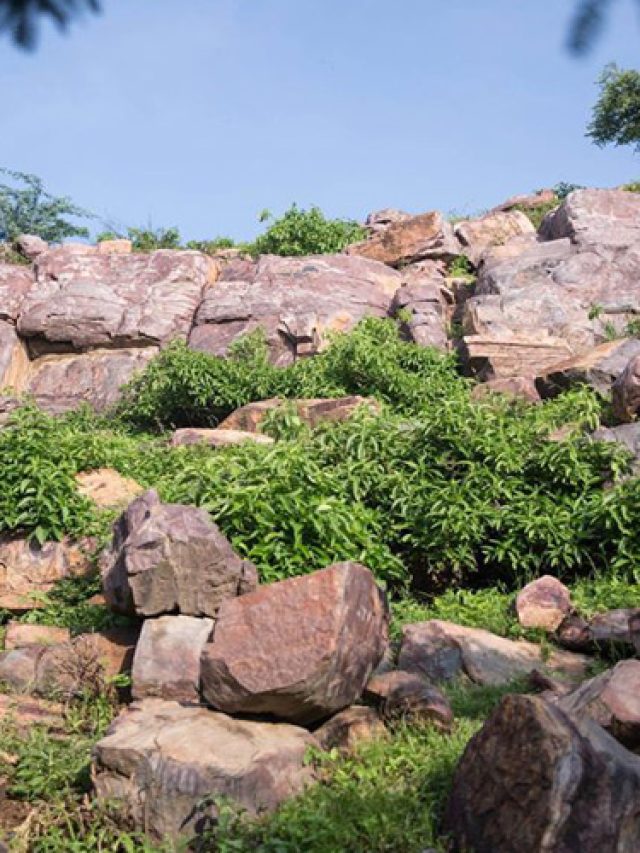 mathura Goverdhan-Parikrama