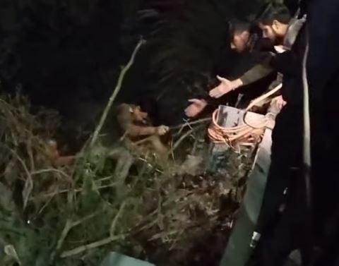 पौड़ी में सड़क हादसा, पैराफिट से टकराकर खाई में गिरी बाइक, दो युवक घायल
