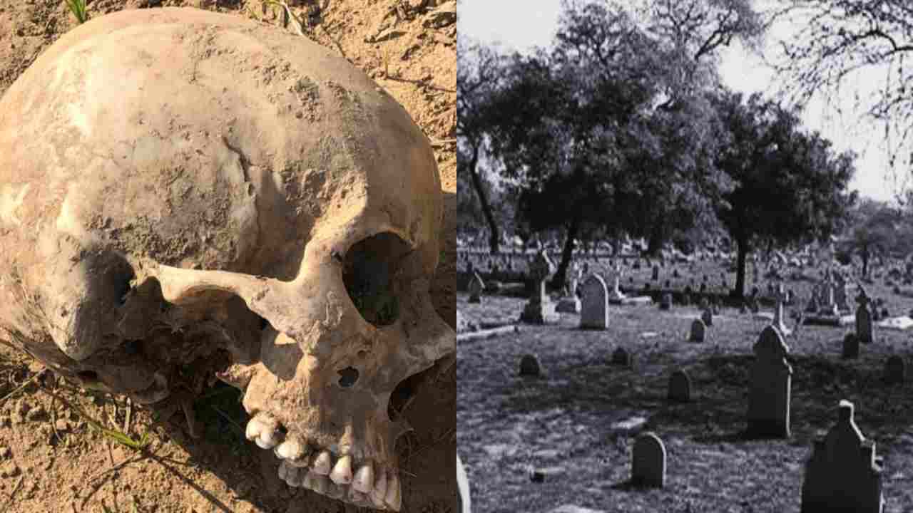 Human skulls missing from the cemetery, know the whole matter