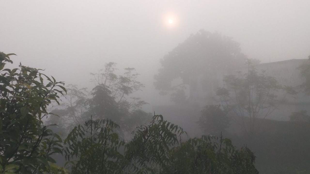 Dense fog will cover these areas in the new year, know the weather information