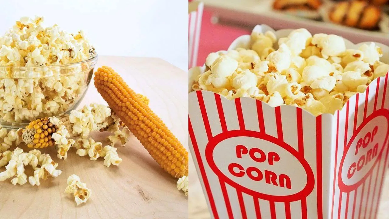 3 TYPES OF GST on POPCORN