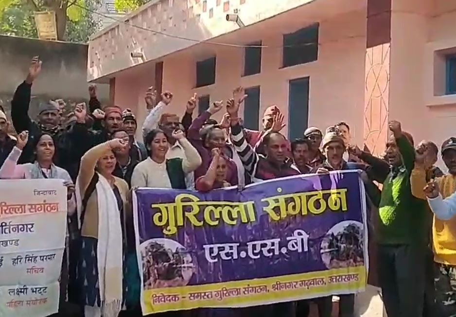 गुरिल्ला संगठन