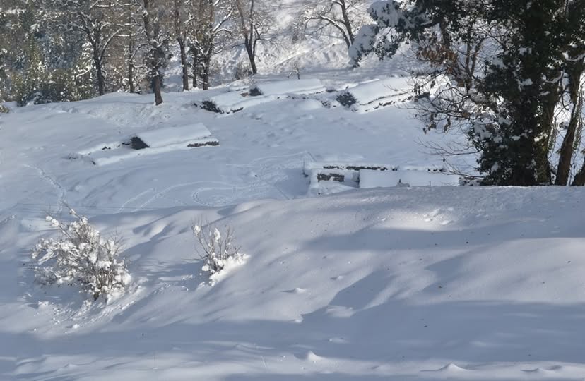 मुनस्यारी बर्फबारी