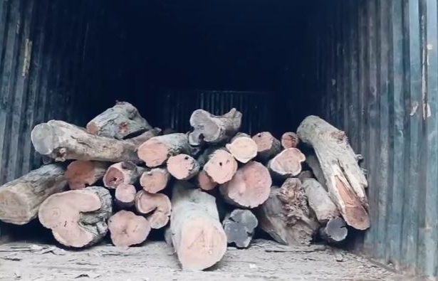 taskar