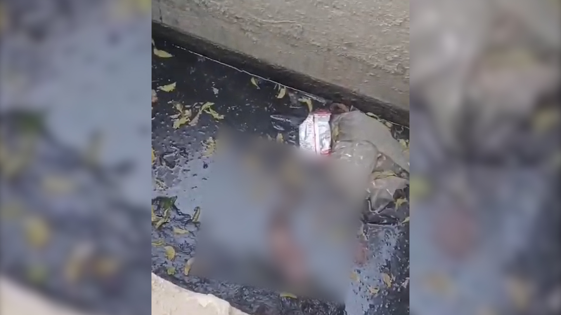 रूड़की में गंदे नाले से मिला नवजात बच्चे का शव