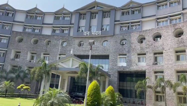 Forest department