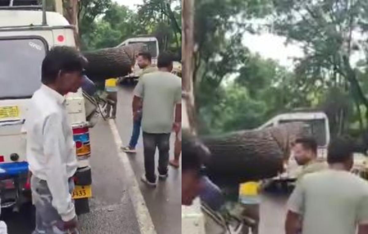 मौसम का तांडव : चलती कार के ऊपर गिरा पेड़, एक शख्स की मौत