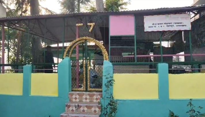 लोहाघाट में उर्स की तैयारी