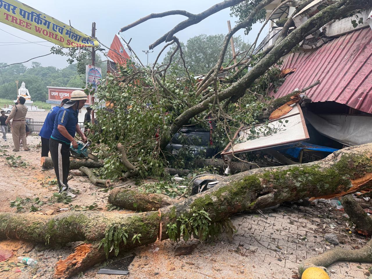 बारिश मचा रही तबाही : टपकेश्वर मंदिर में खड़ा सालों पुराना पेड़ गिरा, एक शख्स घायल